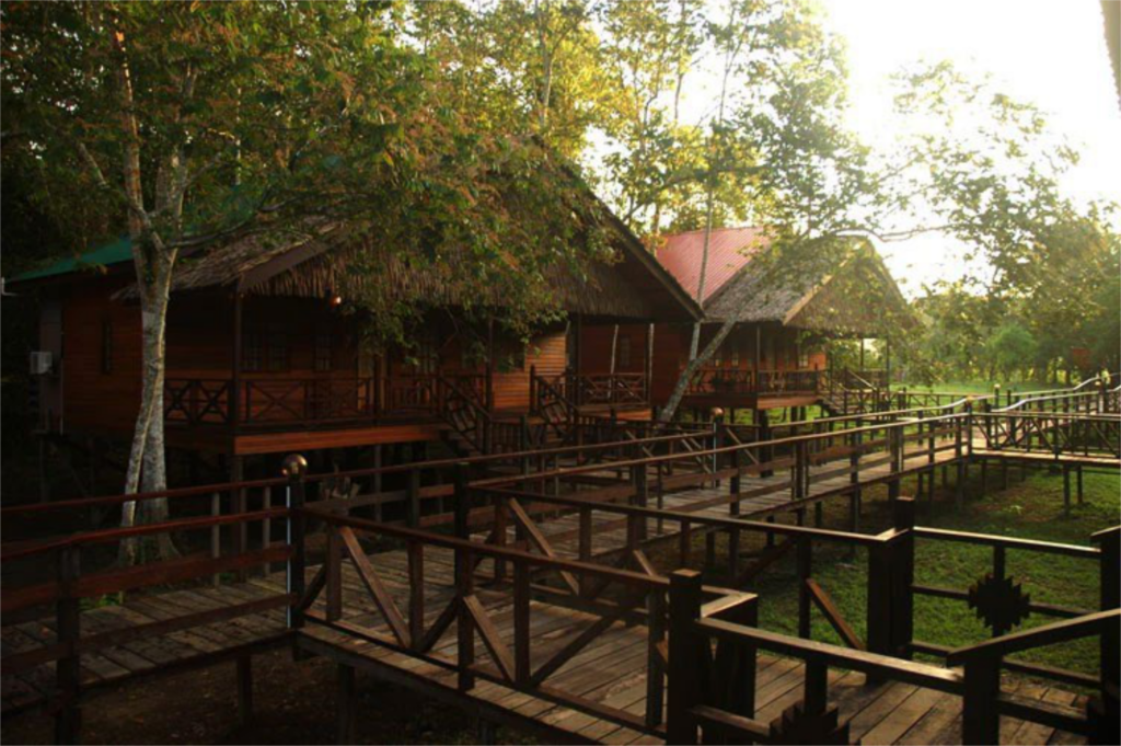 malesia e borneo 8.jpg