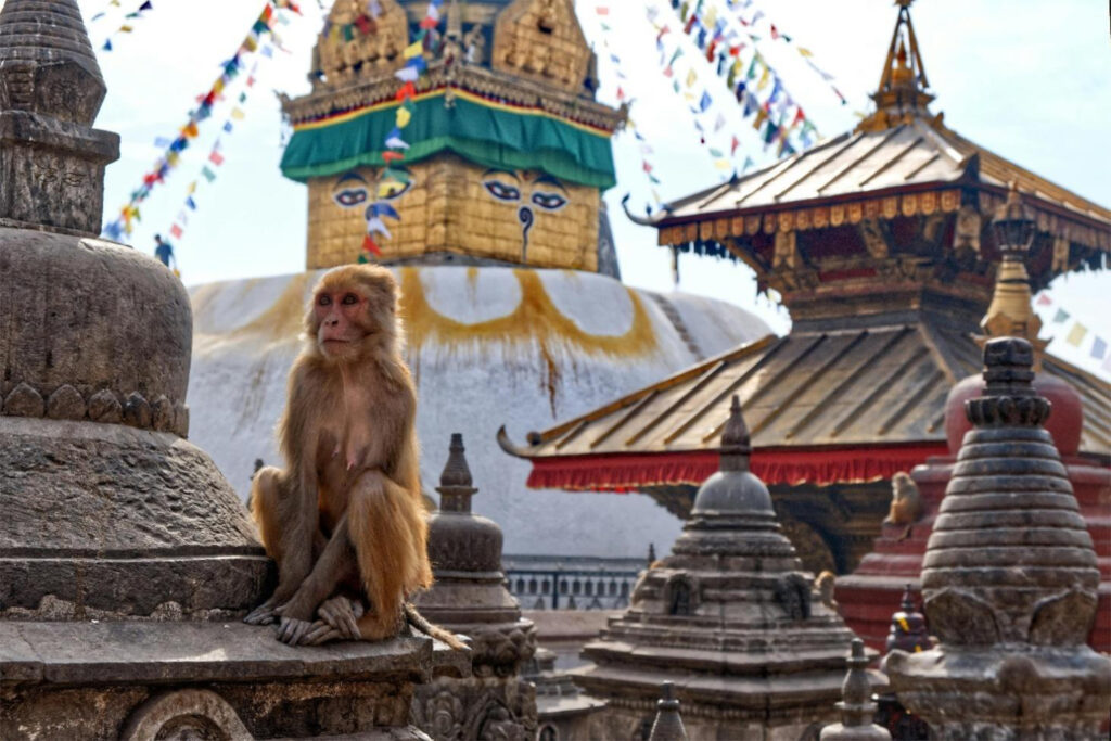 Nepal 10