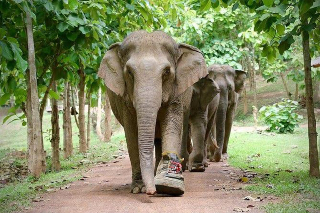 Thailandia e Cambogia 9