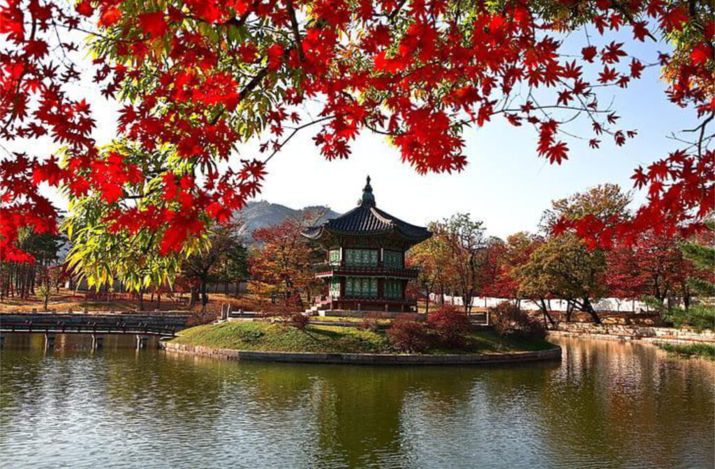 10 giorni in Corea del sud 7