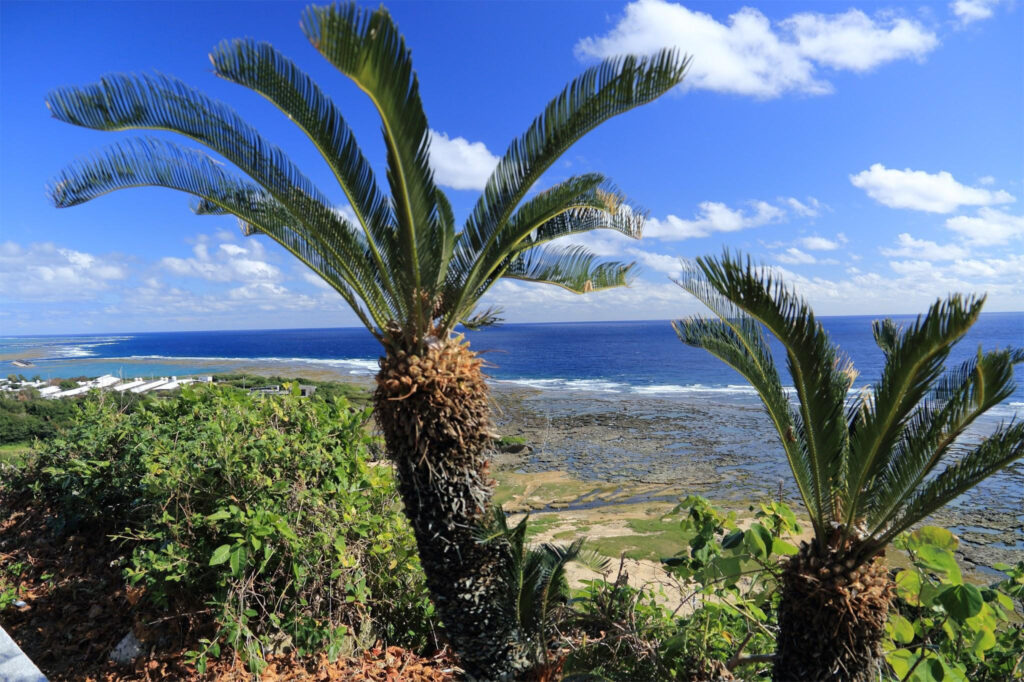 da Tokyo alle spiagge di Okinawa 35