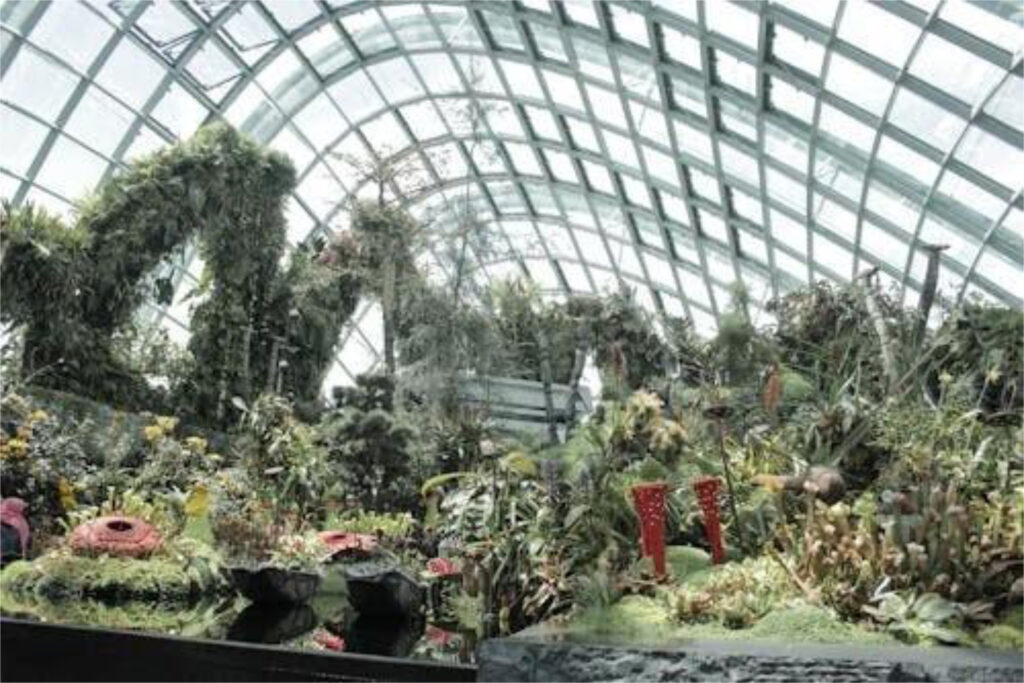 singapore_13